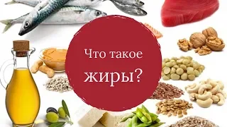 Что такое жиры? Их виды и различия