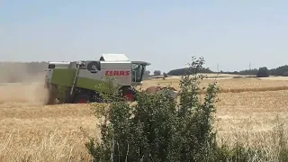 Żniwa 2022 - jęczmień ozimy , Claas lexion 440