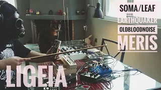 LIGEIA  Soma Lyra-8 & PiPe & Leaf Audio Soundbox  Dark Ambient Synth Jam