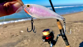 PESCA DE PLAYA con MINNOW ||  JERKBAIT ||  como pescar de ORILLA.