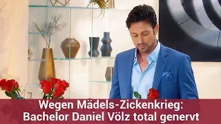 Wegen Mädels-Zickenkrieg: Bachelor Daniel Völz total genervt | CELEBRITIES und GOSSIP