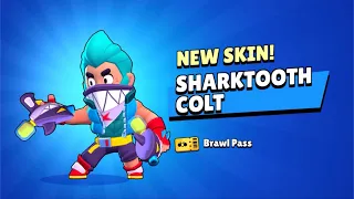 Shark Tooth Colt