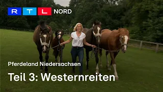 Die Besonderheiten des Westernreitens