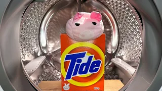 Experiment - The Power of the Tide - in a Washing Machine