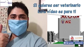 CONOCE LAS ÁREAS DE TRABAJO DE  UN VETERINARIO