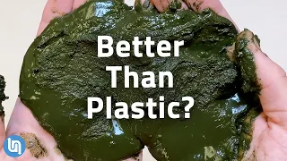 Why Algae Could be the Plastic of the Future #TeamSeas