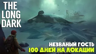 Ловлю кроликов удочкой! ► 100 дней на локации Черный камень ► The Long Dark