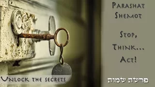 Parashat Shemot - Stop! think...act.. - Rabbi Alon Anava