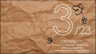 СКРАПВЛОГ 3/23 / Скрапбукинг / Покупки с AliExpress и Wildberries / Распродажа в любимом магазине /