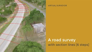 A road survey with section lines [6 steps]