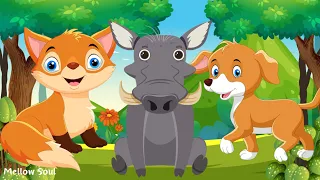 Discover Amazing familiar animals life: fox, dog, crocodile, warthogs, fish, pigeon