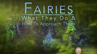 3 - Fairies: What they do and how to approach them