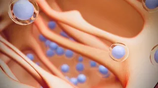 Stem Cells | Bone Marrow | Blood cells |stem cells treatment! enjoy and learn ! medical animation