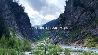 Hiking Japan's Hidden Forest | Northern Japan Alps（Nagano, Japan）