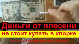 Денежные купюры от плесени не стоит купать в хлорке полностью. Есть причины этого не делать!