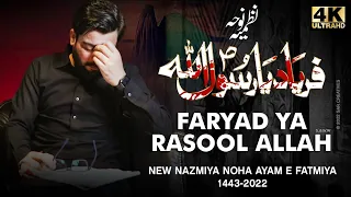 Faryad Ya Rasool Allah (s.a.w) | Mir Hasan Mir Ayam e Fatmiya Noha 2022 | New Nohay 2021