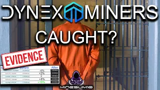 Top Dynex miners - are they cheating ?