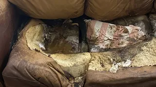 Breaking News: Woman found melted into the couch