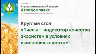 Круглый стол «Пчелы – индикатор качества экосистем в условиях изменения климата»