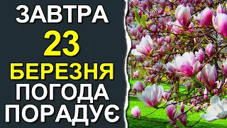 ПОГОДА НА ЗАВТРА: 23 БЕРЕЗНЯ 2023 | Точна погода на день в Україні