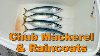 Chub Mackerel & Raincoats