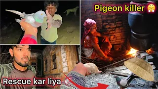 Raat ko rescue kiya kabutar 😮 ( Pigeon rescue mission failed 😞