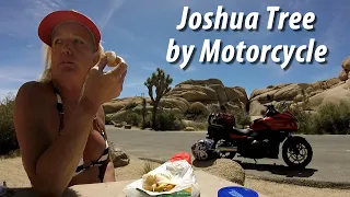 Joshua Tree by Motorcycle |♫| 505 CHICK