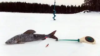 Знакомство с Карелией Зимняя сказка