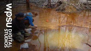 Microbes clean pollution from abandoned mines