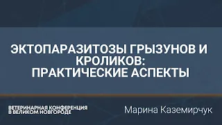 Эктопаразитозы грызунов и кроликов: практические аспекты