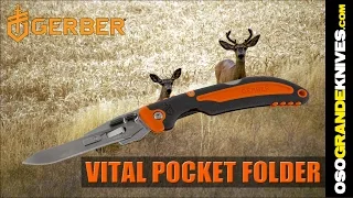 Gerber Vital Pocket Folding Exchange-A-Blade Hunting Knife | OsoGrandeKnives