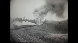 Double headed Garratts pass the 38 hauled Newcastle Flyer, Hawkmount, 1968