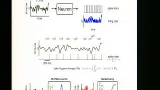 Non-linear system identification - Adam Schneider