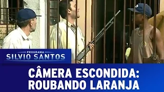 Câmera Escondida (03/07/16) - Roubando Laranja