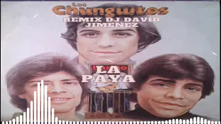 LOS CHUNGUITOS LA PAYA REMIX DJ DAVID JIMENEZ