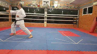 Heian Shodan Karate Shotokan didático de costas para iniciante aprender | Andre Maraschin