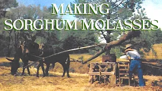 Making Sorghum Molasses (An Overview)  - The FHC Show, ep 28
