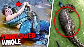 The HORRIFYING Last Minutes of Jahrah Eaten Alive By Snake!