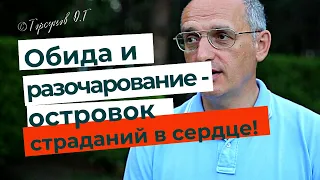 Обида и разочарование - островок несчастья в сердце, учимся его убирать! Торсунов лекции.