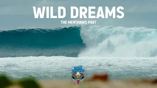 Je surf un SPOT DE RÊVE aux MENTAWAIS... WILD DREAMS - The Mentawais Part