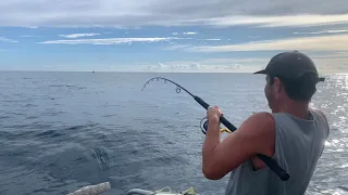 Crazy Day Chasing Big Kingfish!