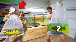 1v1 who can BUY the most EXOTIC FISH! (Boyfriend Vs. Girlfriend)