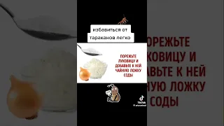 лайфхак, как избавиться от тараканов дёшево #тараканы #избавлениеоттараканов