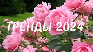 ❤️Танцуй если знаешь этот тренд 2024 года❤️