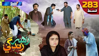 Zahar Zindagi - Ep 283 | Sindh TV Soap Serial | SindhTVHD Drama