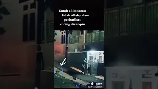 Babi Ngepet Asli Tertangkap CCTV Warga