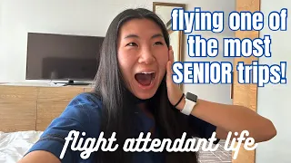 INTERNATIONAL FLIGHT ATTENDANT VLOG: flying one of the most SENIOR trips in my base! 🥳🤭