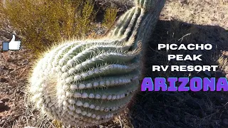 Picacho Peak RV Resort, Arizona.  A 55+ resort with lots of amenities.  Garland Style of course.