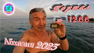 #Абхазия2023 🌴 4 апреля❗Выпуск №1266❗ Погода от Серого Волка🌡вчера +16°🌡ночью +10°🐬море +10,7°