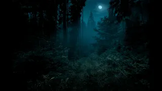 Night Ambient Sounds, Crickets, Swamp Sound at Night, Sleep and Relaxation Meditation Sounds